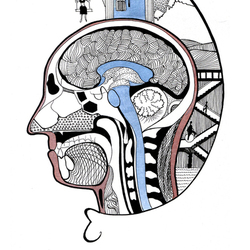 Medulla spinalis