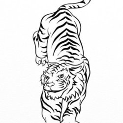Тигр для раскраски