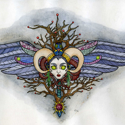 наблюдатель