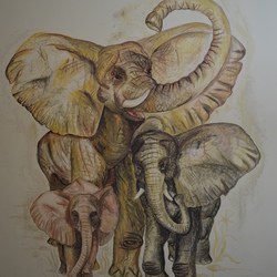 сллоны