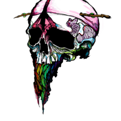 skull