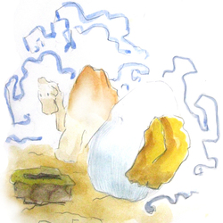 как у верблюда появился горб