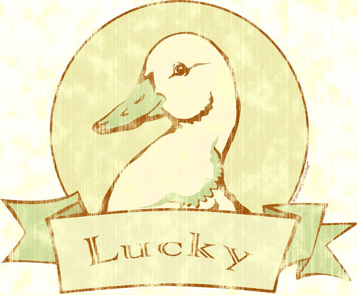 Lucky duck