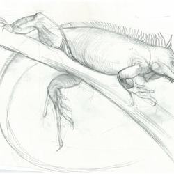 зарисовка с натуры