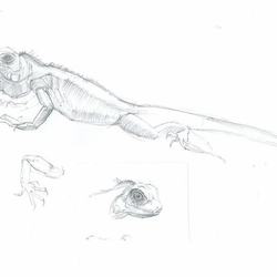 набросок с натуры