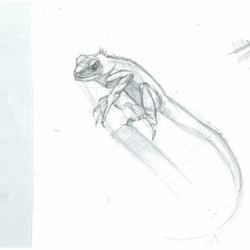 набросок с натуры