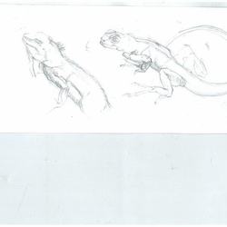 набросок с натуры