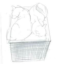 набросок с натуры