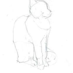 набросок с натуры