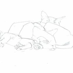 набросок с натуры