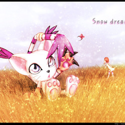 Snow dreams