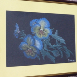 анютины глазки ночью