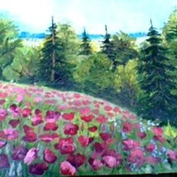 Маковое поле