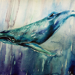 большой синий кит