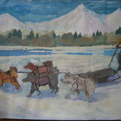 Зимний спорт