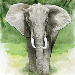 Слон.