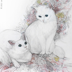 Белые коты (серия "Нежность")