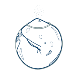 Каждый в своем аквариуме