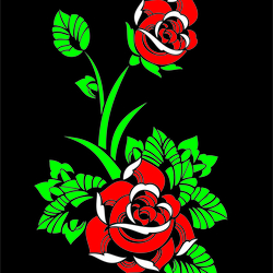 roses