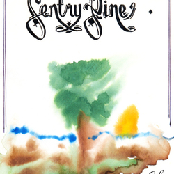 Sentry Pine