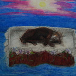 моя мертвая кошка