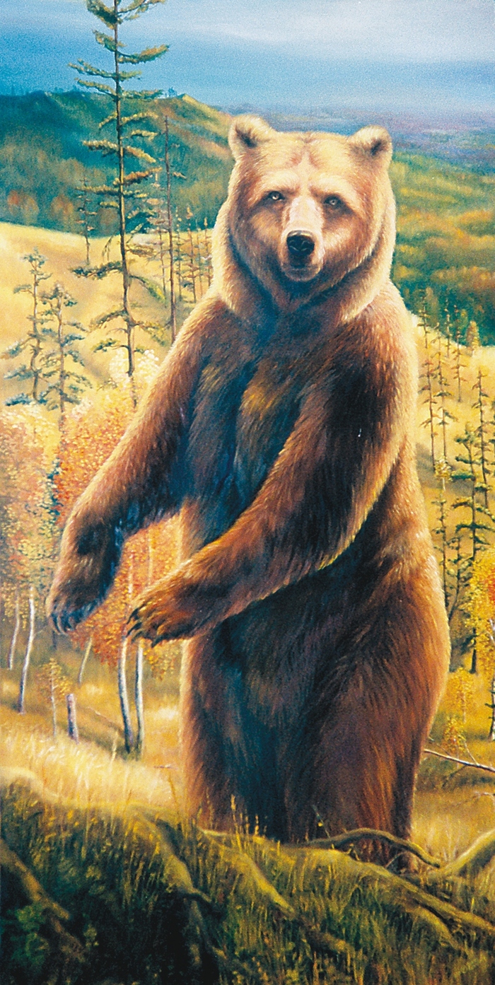 Картина медведь