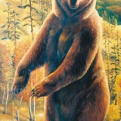 Медведь. Осень