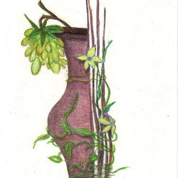 ваза видимо