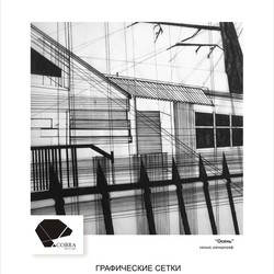 Работы рапидографом