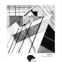 Работы рапидографом