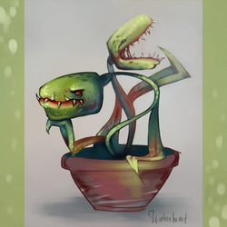 Potted plant