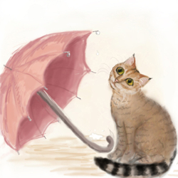 Кошка и зонтик