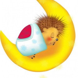 Лунный Ежик