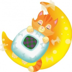 Спящий котенок