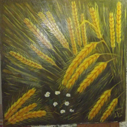 ромашки во ржи