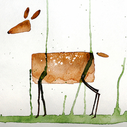 Deer