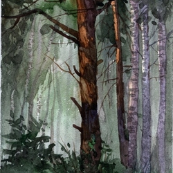 в лесу 2