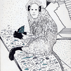 индийские истории