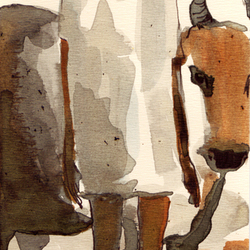 коровье дело