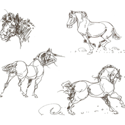 Horses. sketch