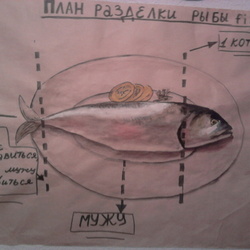 план разделки рыбы fish