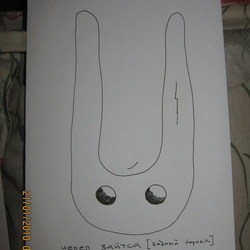 Череп зайтса