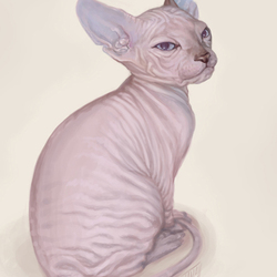 Sphynx