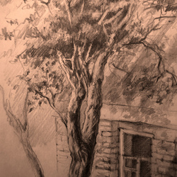 "Вид из окна"