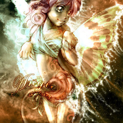 angie the fairie
