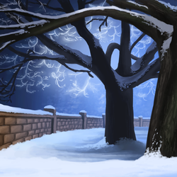 Зима, ночь, деревья