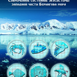 обложка для книги