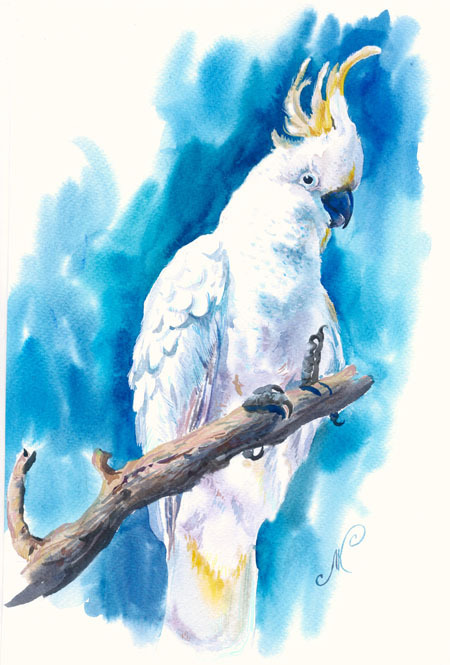 Из серии "Попугайчики"-БЕЛЫЙ КАКАДУ