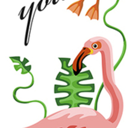 Flamingo likez you!