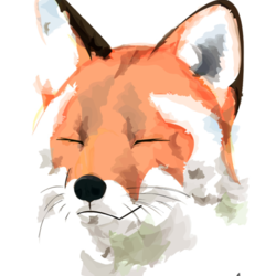 Fox Luxy